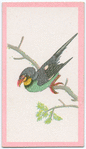 Birds of the East.