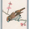Birds of the East.