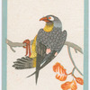 Birds of the East.