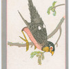 Birds of the East.