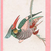Birds of the East.