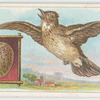The skylark.