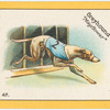 Greyhound "Mayflower".