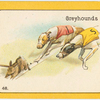 Greyhounds.