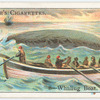 Boats of the World.