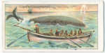 Boats of the World.