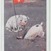 Rabbits, I Believe!
