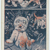 Bonzo Dogs.