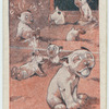 Bonzo Dogs.