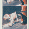 Bonzo Dogs.