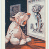 Bonzo Dogs.