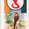 Cobra.