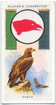 Eagle.