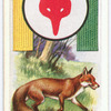 Fox.