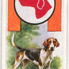 Hound.