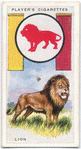 Lion.