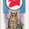 Owl.