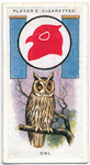 Owl.