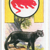 Panther.