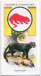 Panther.