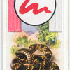 Rattlesnake.