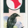 Raven.