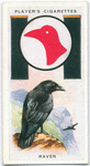 Raven.