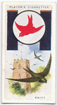 Swift.