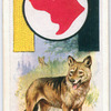 Wolf.