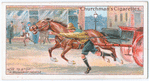 How to Stop a Runaway Horse