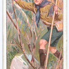 Scouting Under Difficulties.