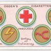 Scouts' Badges.