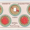 Scouts' Badges (3).