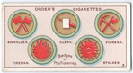 Scouts' Badges (3).