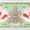 Patrol Flags and Hat Badge (2).