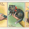 How to Hold Pets. - 1.