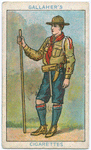 The Boy Scout.