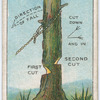 How to Fell a Tree.