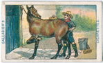 How To Clean A Kicking Pony.