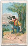 Boy Scouts Series.