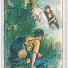 Boy Scouts Series.