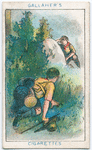 Boy Scouts Series.