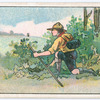 Boy Scouts Series.