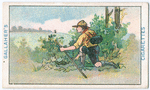 Boy Scouts Series.