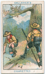 Boy Scouts Series.