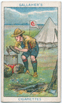 Boy Scouts Series.