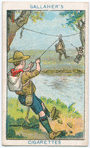 Boy Scouts Series.