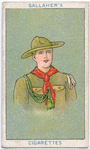 Boy Scouts Series.