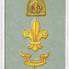 Boy Scouts Series.