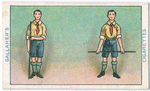 Boy Scouts Series.